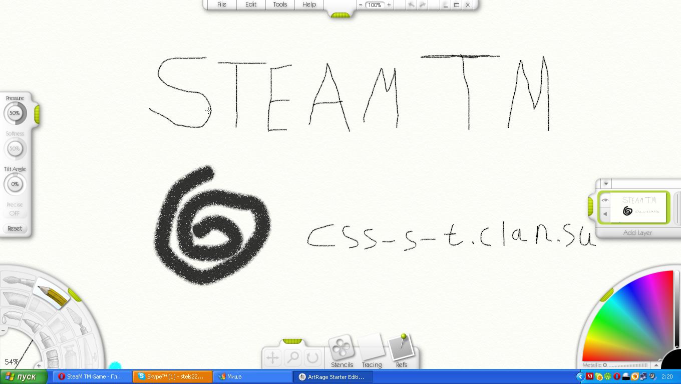 Steam TM 
